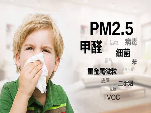 除甲醛*有效方法